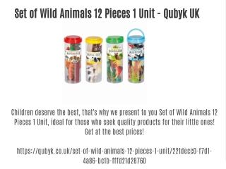Set of Wild Animals 12 Pieces 1 Unit- Qubyk UK