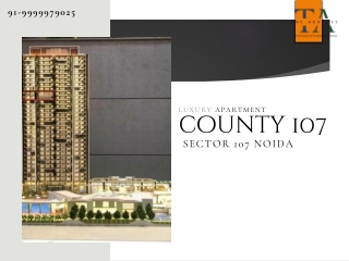Sample flat of County 107 Noida