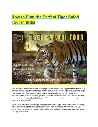 How to Plan the Perfect Tiger Safari Tour in India