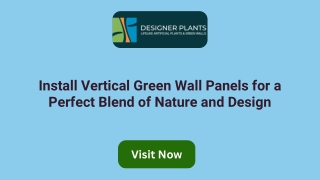 Install Vertical Green Wall Panels for a Perfect Blend of Nature and Design