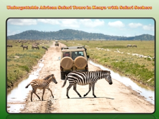 Unforgettable African Safari Tours in Kenya with Safari Seekers