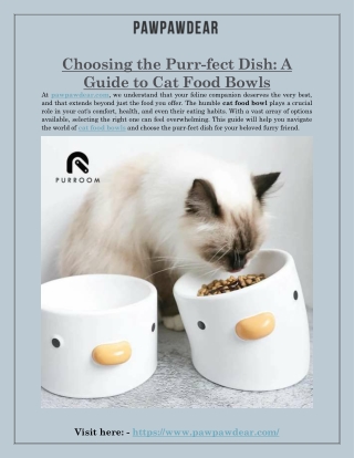 Choosing the Purr-fect Dish: A Guide to Cat Food Bowls