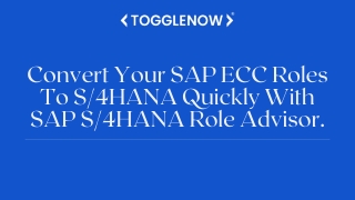 Convert Your SAP ECC Roles To S4HANA Quickly With SAP S4HANA Role Advisor.
