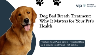 Get Professional Dog Bad Breath Treatment at VIP Animal Hospital