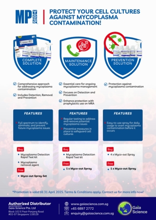 Mycoplasma Detection Kit for Sale