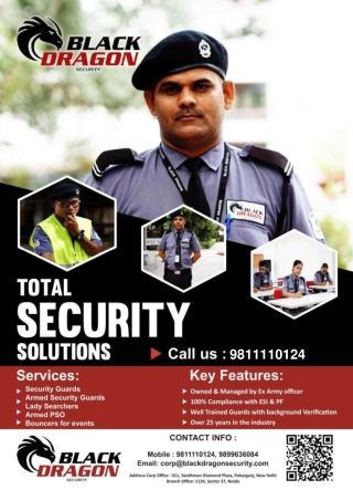 Black Dragon Security Profile