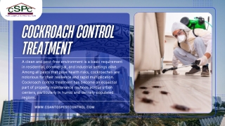 Cockroach Control Treatment Is Essential for Health and Hygiene Across Urban Homes and Businesses