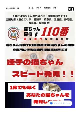 猫ちゃん探偵110番