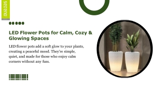 LED Flower Pots for Calm, Cozy & Glowing Spaces