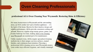 professional Oven Cleaning