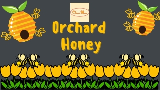 Best Quality Multi Flora Honey Manufacturers and Suppliers