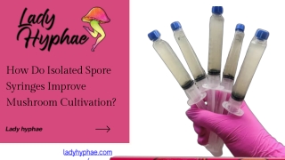 Pick 5 Isolated Spore Syringes – Premium Genetics from Lady Hyphae