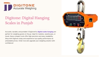 Digital Scales Hanging