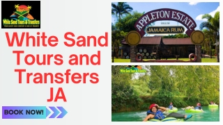 Jamaica tours and excursions