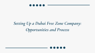 Setting Up a Dubai Free Zone Company