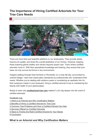 The Importance of Hiring Certified Arborists for Your Tree Care Needs