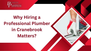 Why Hiring a Professional Plumber in Cranebrook Matters Presentation