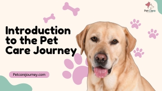 Introduction to the Pet Care Journey