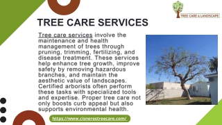 Tree Emergency In Sacramento - cisnerostreecare.com