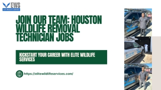Join Our Team Houston Wildlife Removal Technician Jobs