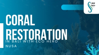 Coral Restoration in Bali with Eco Hero Nusa