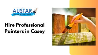 Hire Professional Painters in Casey