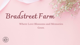 Barn Weddings in Massachusetts at Bradstreet Farm – Rustic Elegance