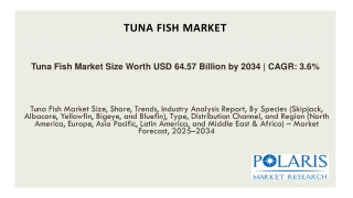 Tuna Fish Market