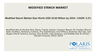 Modified Starch Market