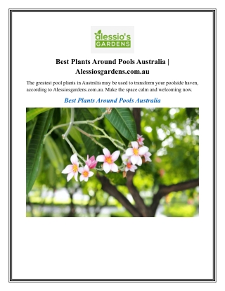 Best Plants Around Pools Australia Alessiosgardens.com.au