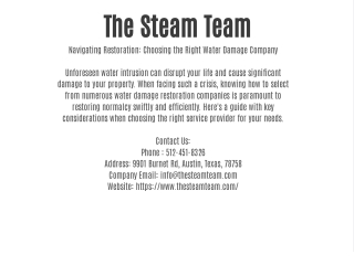 The Steam Team