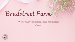 Celebrate love and laughter:  Bradstreet Farm’s Massachusetts Barn Weddings