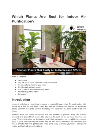 Which Plants Are Best for Indoor Air Purification