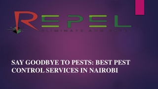 Say Goodbye to Pests: Best Pest Control Services in Nairobi