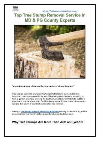 Top Tree Stump Removal Service in MD & PG County Experts