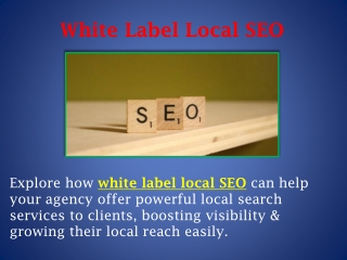 White Label Local SEO