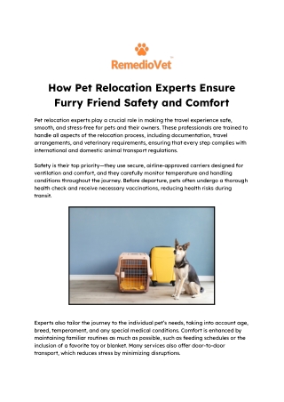How Pet Relocation Experts Ensure Furry Friend Safety and Comfort