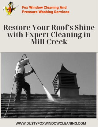 Restore Your Roof’s Shine with Expert Cleaning in Mill Creek
