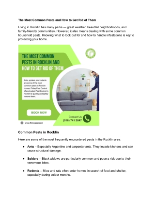 The Most Common Pests and How to Get Rid of Them