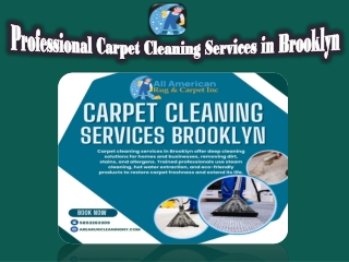 Professional Carpet Cleaning Services in Brooklyn
