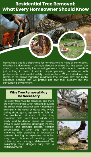 Residential Tree Removal: What Every Homeowner Should Know