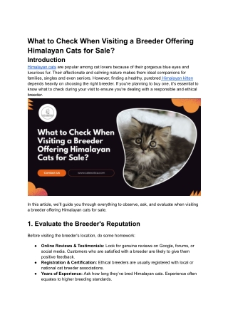 What to Check When Visiting a Breeder Offering Himalayan Cats for Sale
