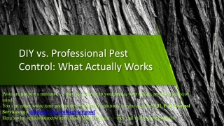 DIY vs. Professional Pest Control: What Actually Works