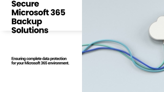 Secure Microsoft 365 Backup Solutions