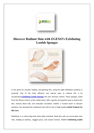 High-Quality Natural Loofah | EGEXO