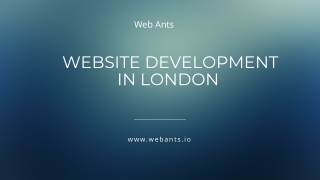 Web Development Service In London