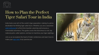 How to Plan the Perfect Tiger Safari Tour in India