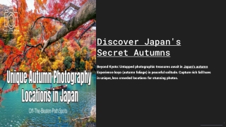 Unique Autumn Photography Locations in Japan Off The Beaten Path Spots