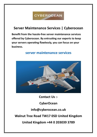 Server Maintenance Services Cyberocean 11