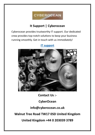 It Support Cyberocean442